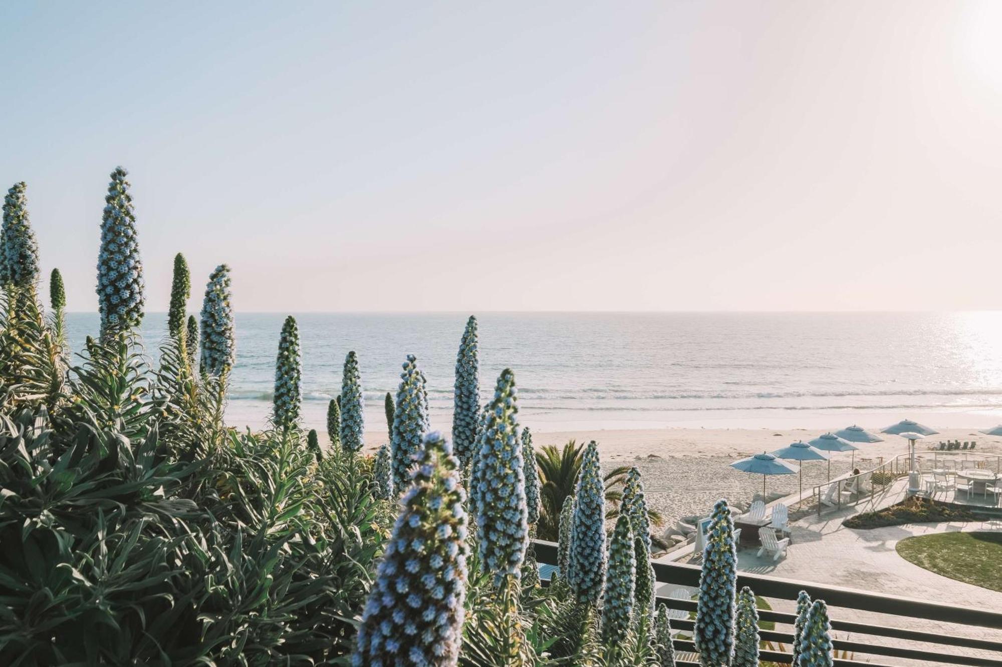 Waldorf Astoria Monarch Beach Resort & Club Dana Point Ngoại thất bức ảnh